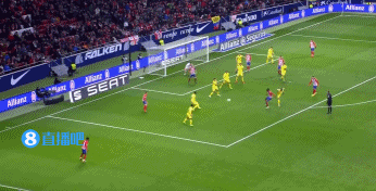 开云播报：以热爱之名，我们并肩