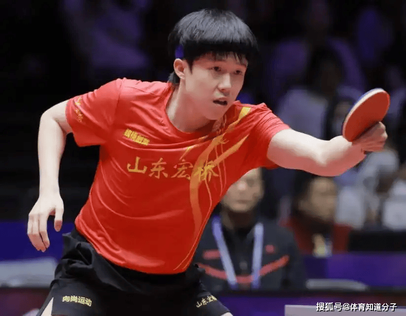 广泛的关注 广泛的关注