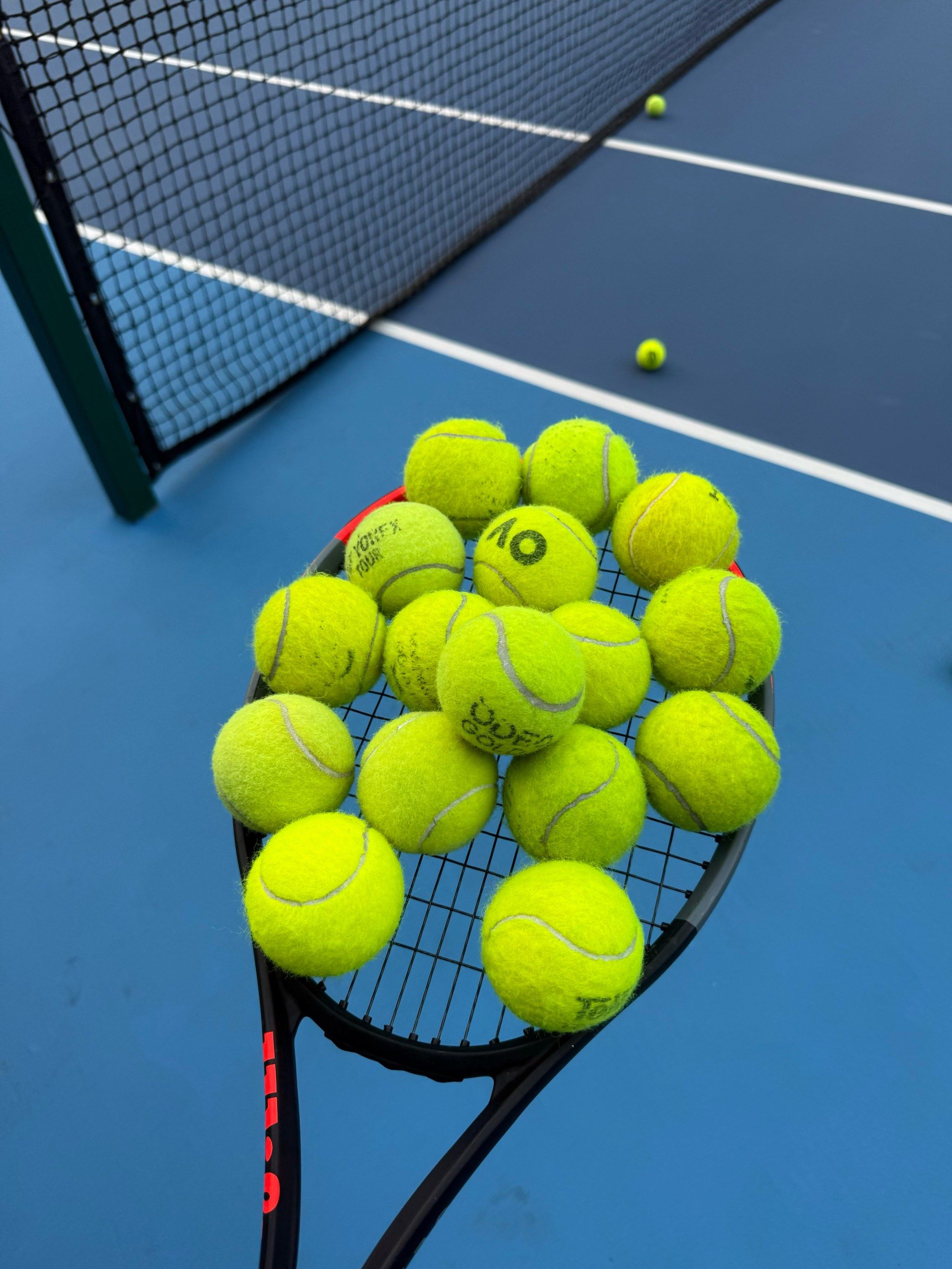 离开家乡的 离开家乡的