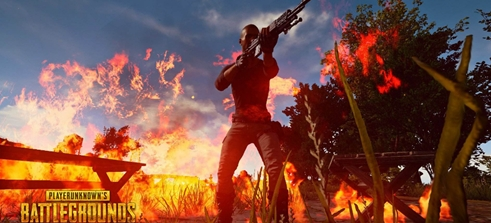 提供了绝好 提供了绝好